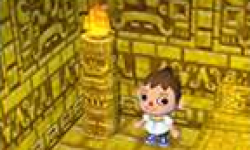 Animal Crossing Lets Go To TheCity totem homme or vignette head