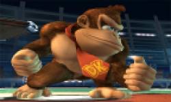 DonkeyKongVignette