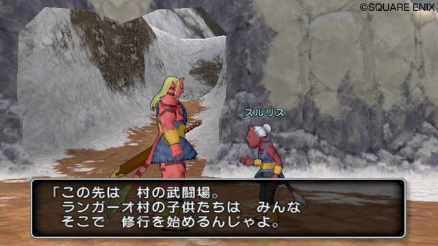 Dragon Quest X 4