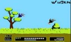 Duck Hunt ICON0