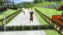 go-vacation-wii-22