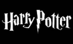 harry potter icon