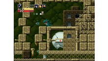 Images-Screenshots-Captures-Cave-Story-01122010-07