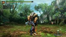 Monster Hunter 3 Ultimate MH3GHD_WiiU_SinglePlay_017_bmp_jpgcopy