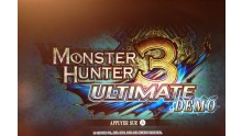 Monster Hunter 3 Ultimate Sans titre 234 - copie