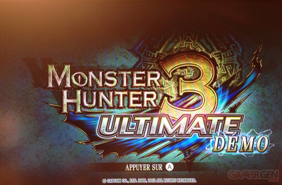 Monster Hunter 3 Ultimate Sans titre 234 - copie