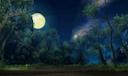 Monster Hunter 3 Ultimate vignette Monster Hunter 3 Ultimate 31