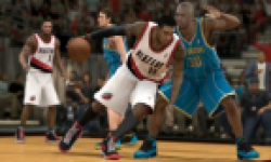 nba 2k13 head vignette