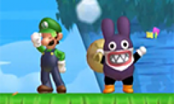 new super luigi u nabbit vignette head