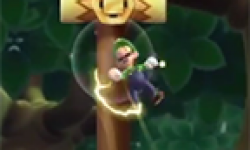 new super luigi u vignette head