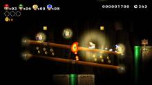 New-Super-Mario-Bros-U_screenshot (5)