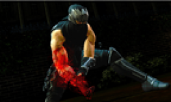 ninja gaiden 3 vignette head