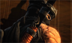 ninja gaiden 3 vignette head