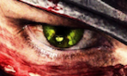 Ninja Gaiden 3 vignette ninja gaiden