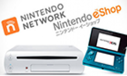 nintendo wii u 3ds network eshop vignette head