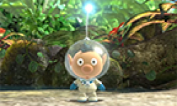 pikmin 3 vignette head