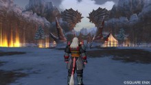 screenshot-capture-image-dragon-quest-x-10-wii-12