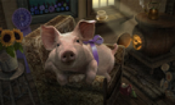 Screenshot Capture Image mystery case files affaire malgrave nintendo wii vignette head