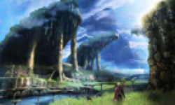 Screenshot Capture Image xenoblade chronicles nintendo wii vignette head 3
