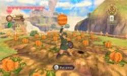 Skyward Sword dossier vignette