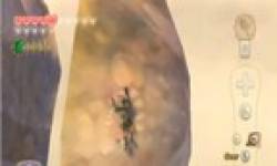Skyward Sword Link Fail oiseau vignette
