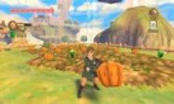 skyward sword vignette