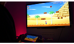 Super Mario Bros Mii wii u head