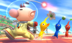 Super Smash Bros 12 07 2013 head 1