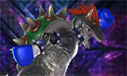 tekken tag tournament 2 wii u edition vignette head