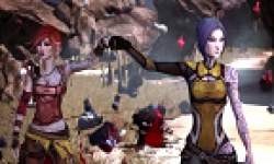 vignette head borderlands 2 31102012 0090005200129642