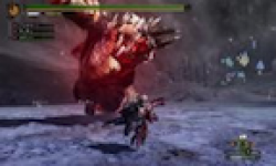 vignette monster hunter 3 ultimate 2