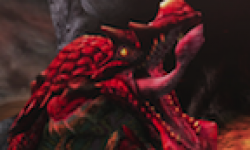 vignette monster hunter 3 ultimate