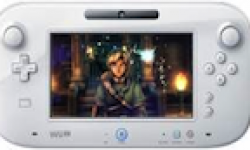 vignette zelda wii u