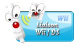 wii ds3