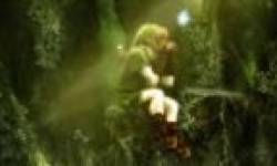 wii u hyrule zelda zeldau image artwork head vignette icone.png