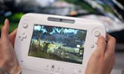 wii u vignette head