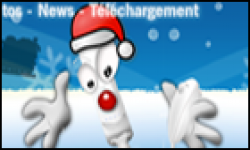 wiigen noel logo