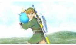 zelda skyward sword vignette