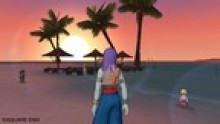 Dragon Quest screenshots capture images vignette