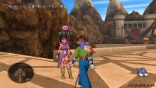 Dragon Quest X 12