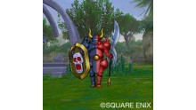Dragon Quest X 30