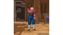 Dragon Quest X 36