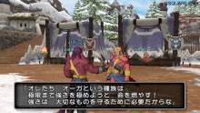 Dragon Quest X 3