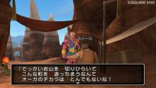 Dragon Quest X 5