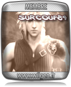 Images-Screenshors-Captures-Avatars-Membre-WiiGen-surcouf84-14022011