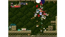 Images-Screenshots-Captures-Cave-Story-01122010-12