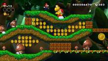 New-Super-Mario-Bros-U_screenshot (8)
