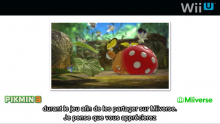 Nintendo Direct Miiverse Pikmin Capture dâ??Ã©cran 2013-01-23 Ã  15.12.35
