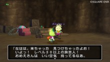 screenshot-dragon-quest-x-nintendo-wii-07