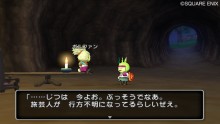 screenshot-dragon-quest-x-nintendo-wii-10
